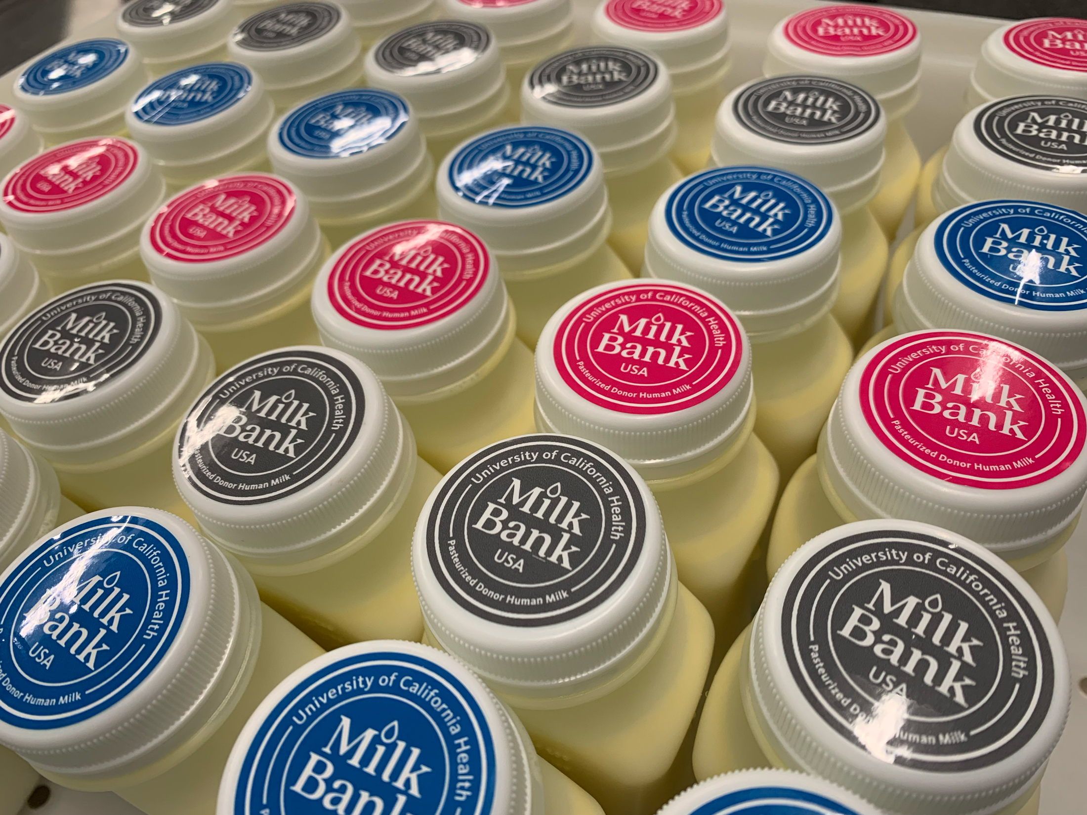 A photo showing rows of UC milk bank human milk bottles, with blue, grey and red lids
