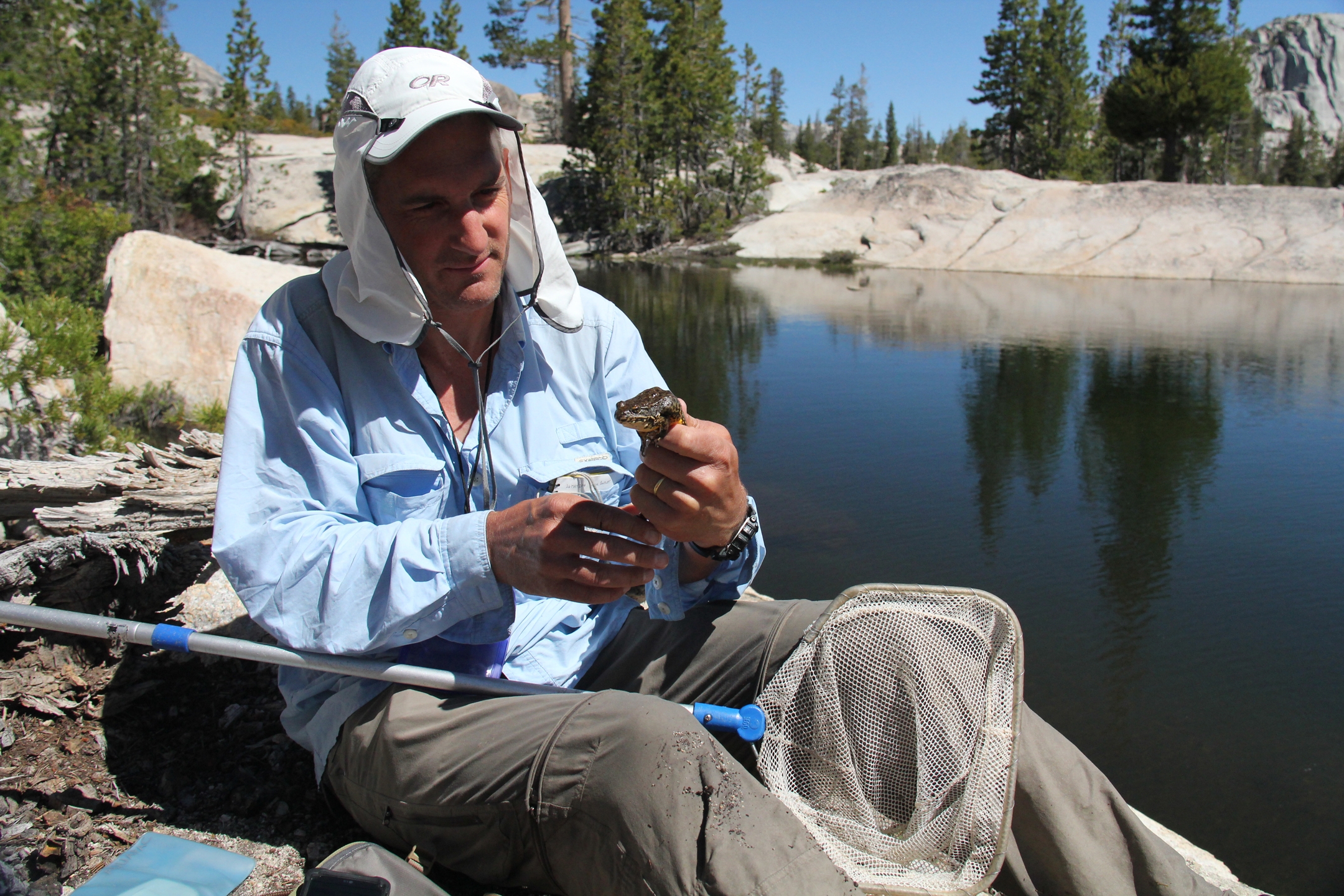 Roland Knapp wearing outdoor gear sits on a lakeshore holding a frog