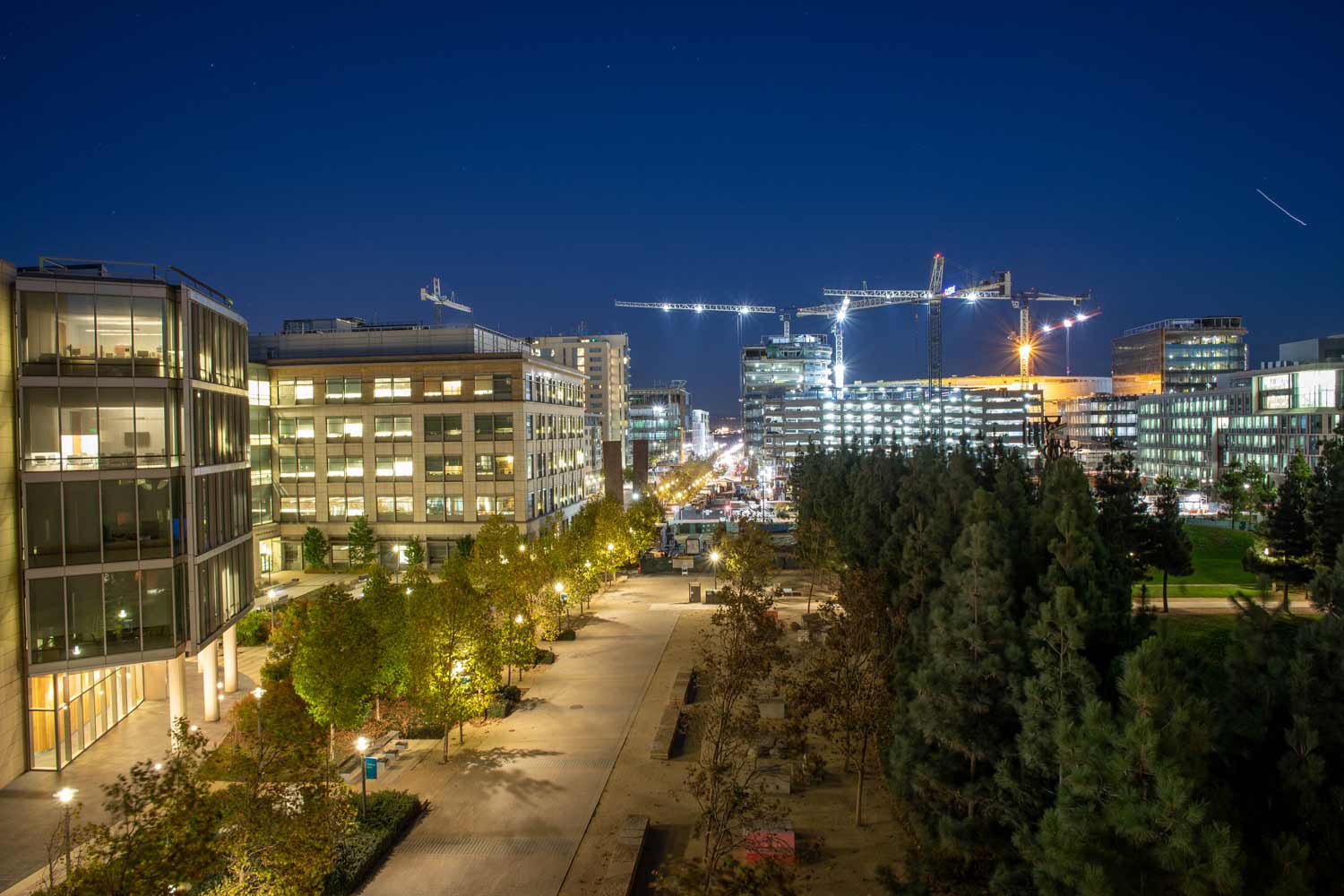 View of walkway in Mission Bay bordered by buildings at night