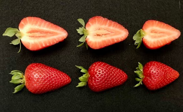 Two rows of strawberries, one showing the interior of three, the lower row showing the exterior