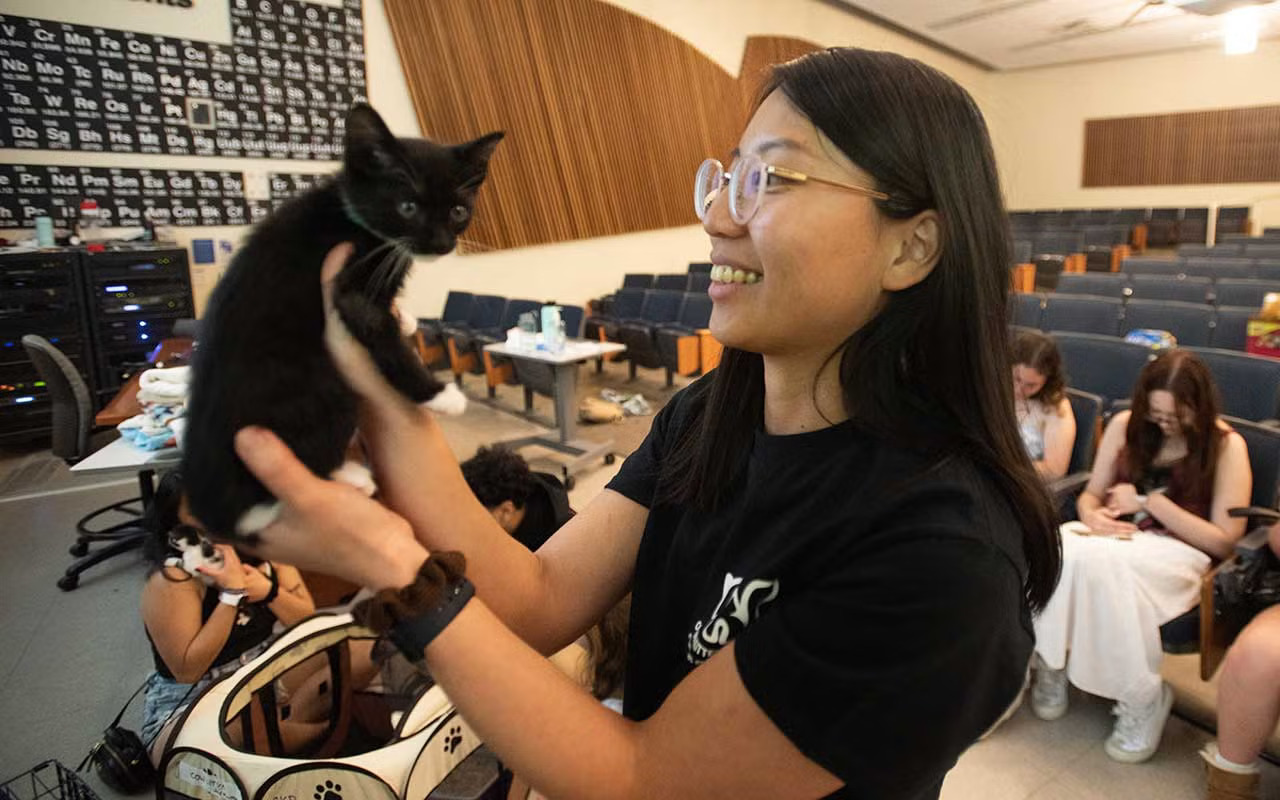 A woman with glasses holds up a kitten in an auditorium with other young people holding kittens