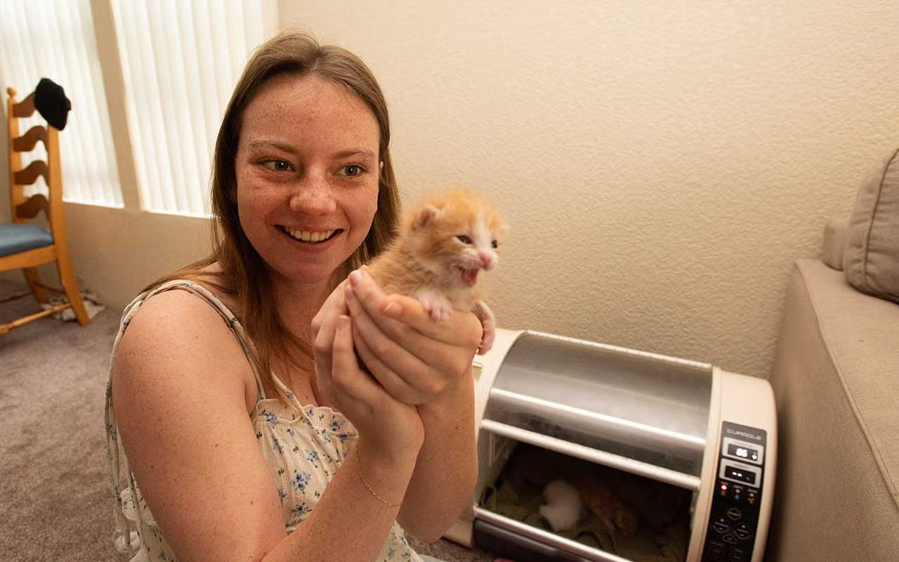 A smiling young woman holds up a small kitten