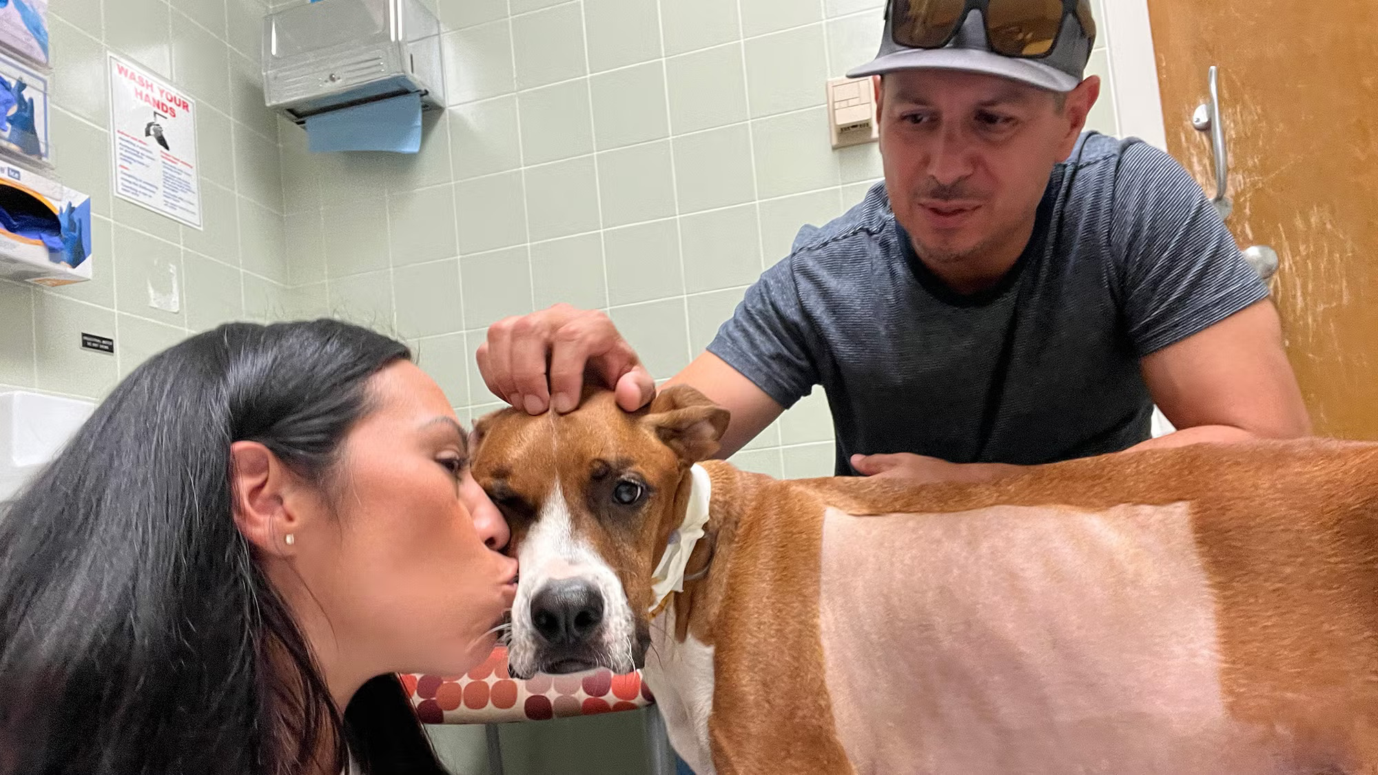 A man pets his hound's head while a woman kisses the dog's cheek, the side of the dog where he has been shaved is visible