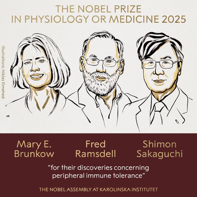The Nobel Prize in physiology or medicine 2025 is the header over an illustrated portrait of a woman and two men (the winners) along with their names and a quotation, "for their discoveries concerning peripheral immune tolerance."