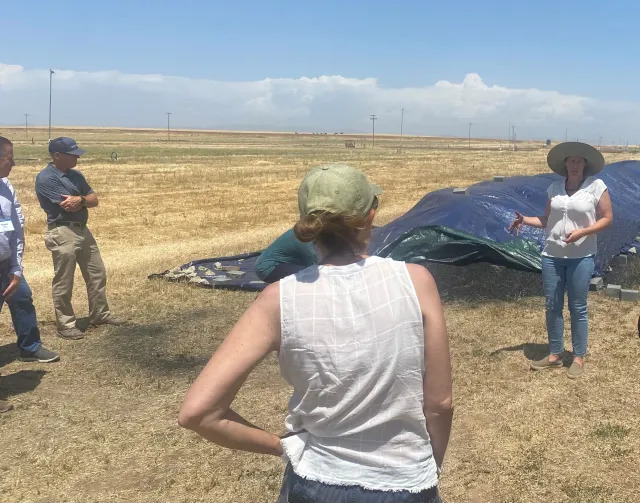 A few people stand in a dry field with a blue covering on part of it