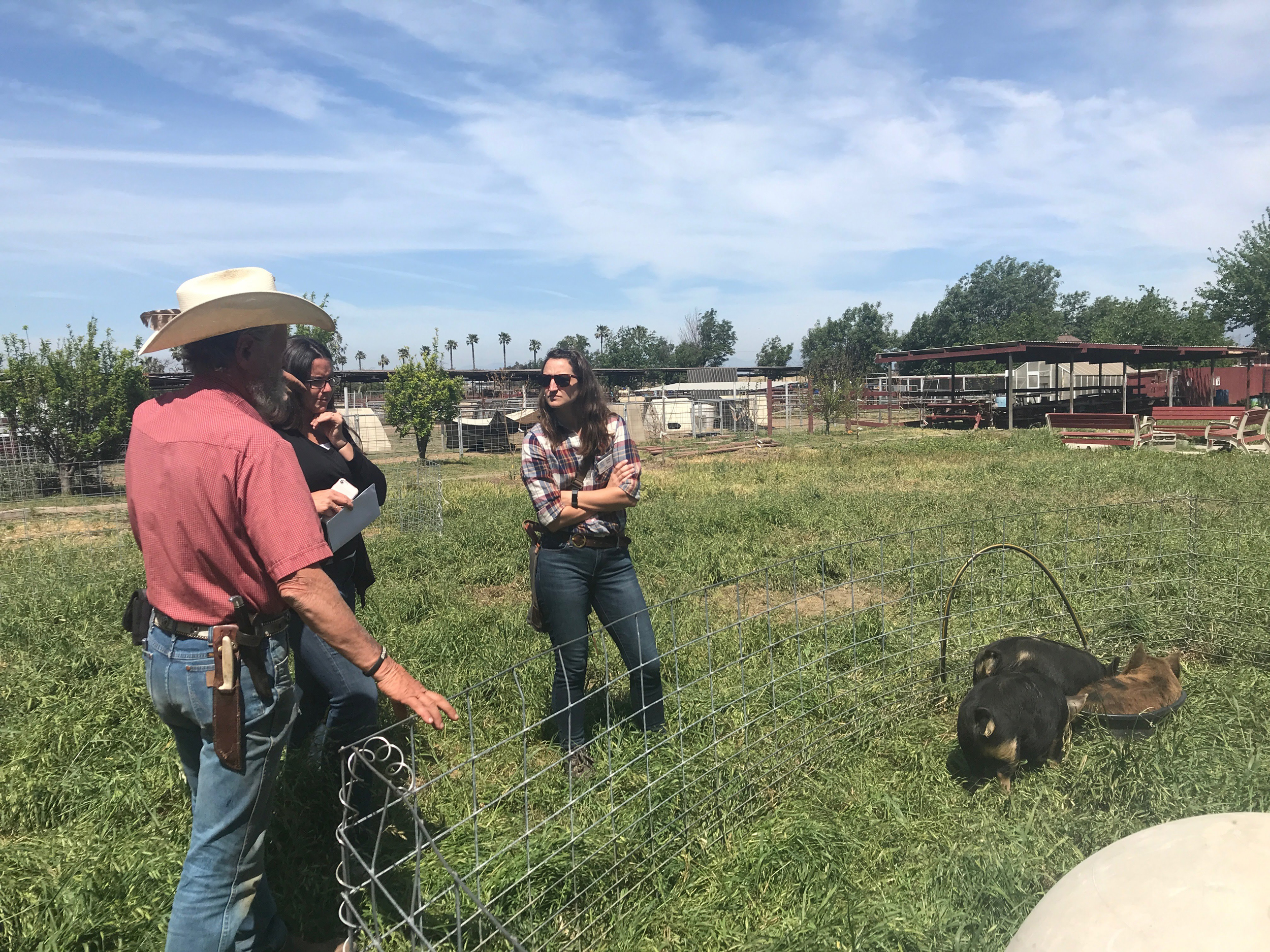 Two farmers in the foreground of the photo talk to a woman in sunglasses next to a grassy paddock with small pigs