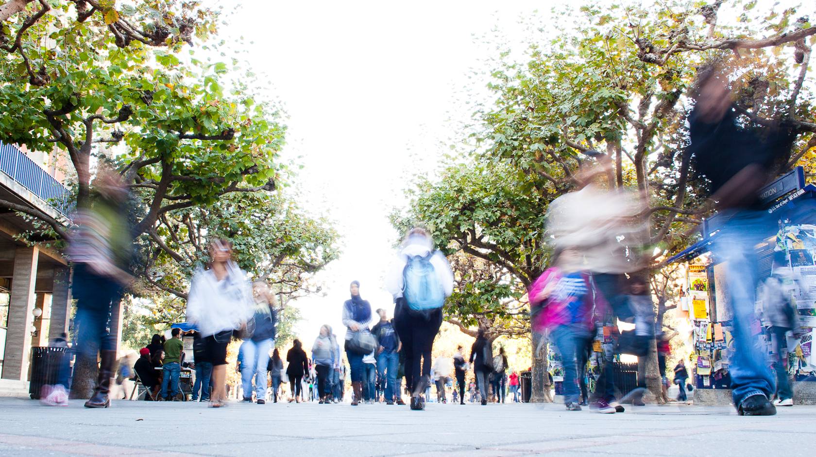 students on the UC Berkeley campus