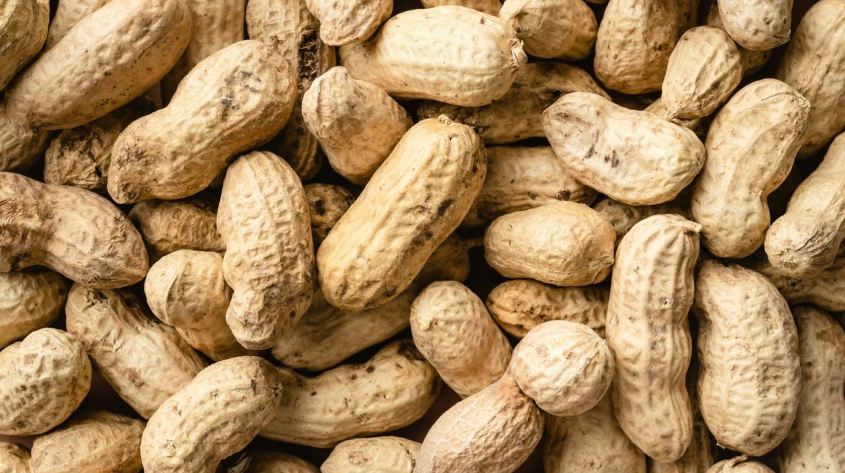 Peanuts in their shells
