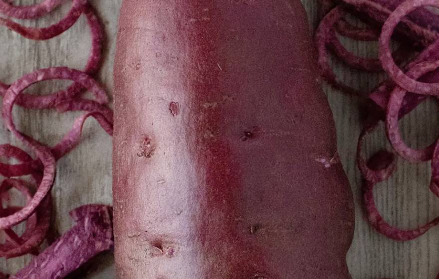 A purple sweet potato