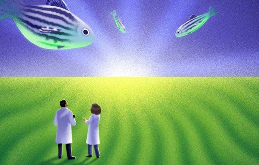 An illustration showing giant purple and green zebra fish floating in a purple sky, above 2 figures in white doctor's coats who stand in a zebra-striped green field, looking up. 