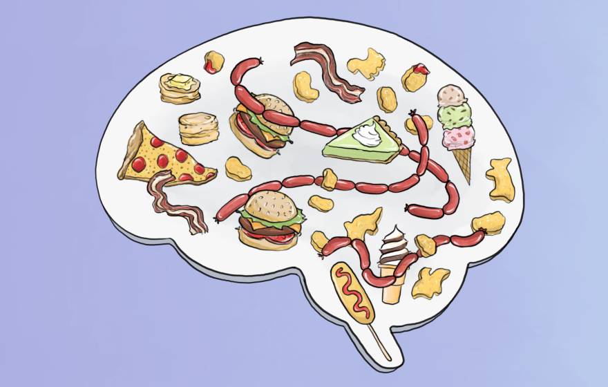 An illustration of a brain on a lilac background in which the brain has a variety of drawings of fatty foods within it