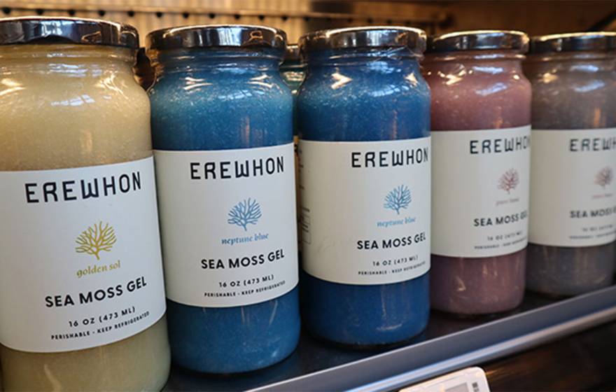 A row of jars of Erewon-brand sea moss gel in muted pastel tones