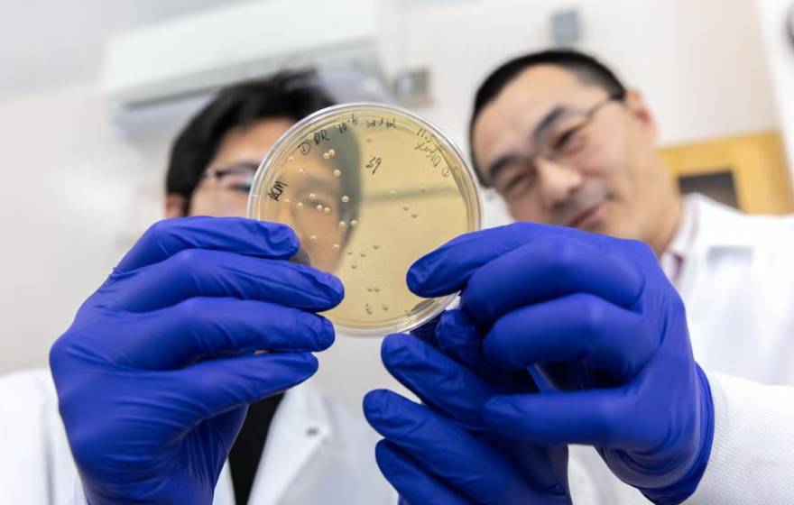 Two scientists wearing blue gloves hold up a petri dish to a camera