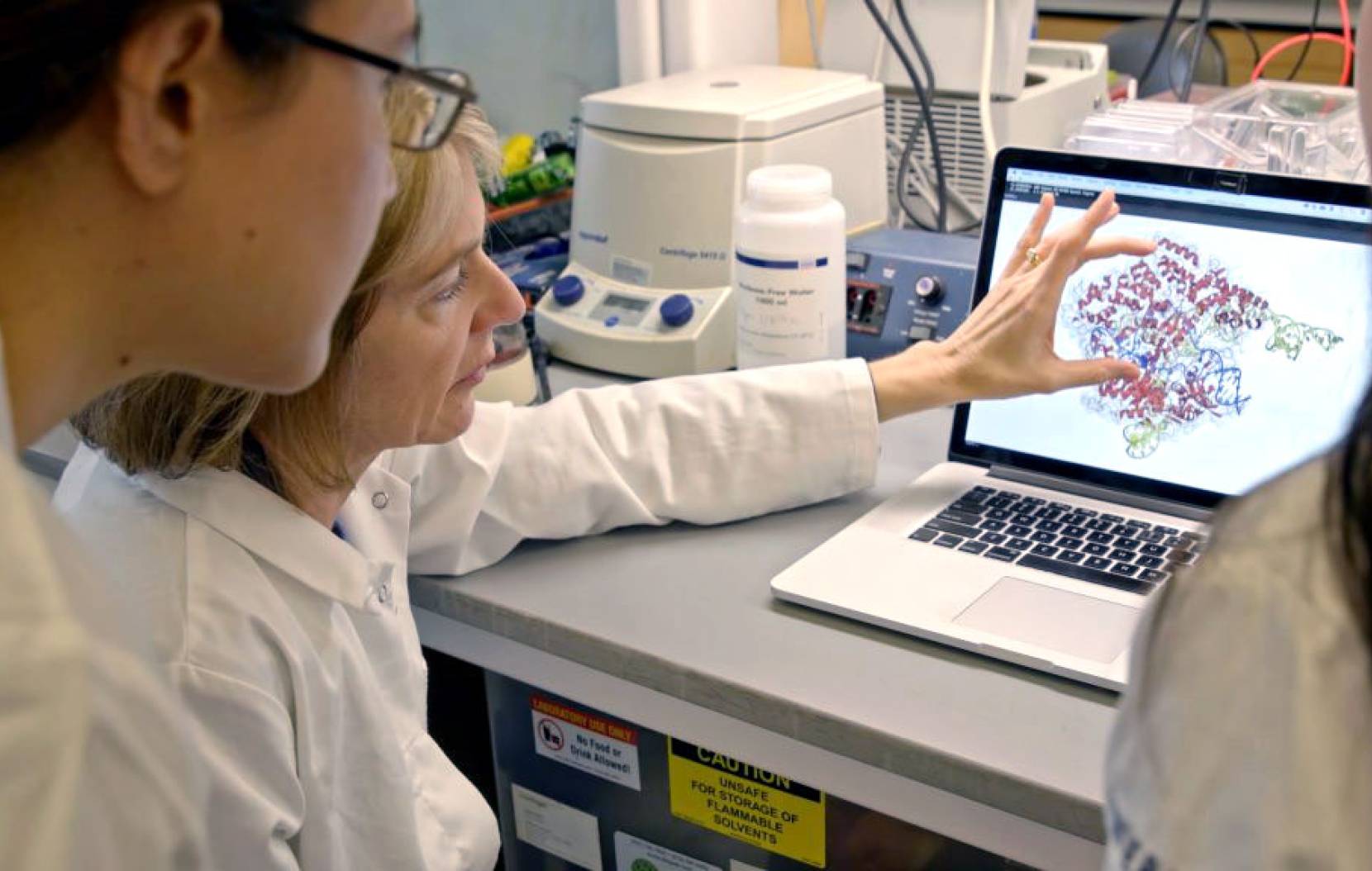Scientists in the Doudna lab looking at a computer screen.