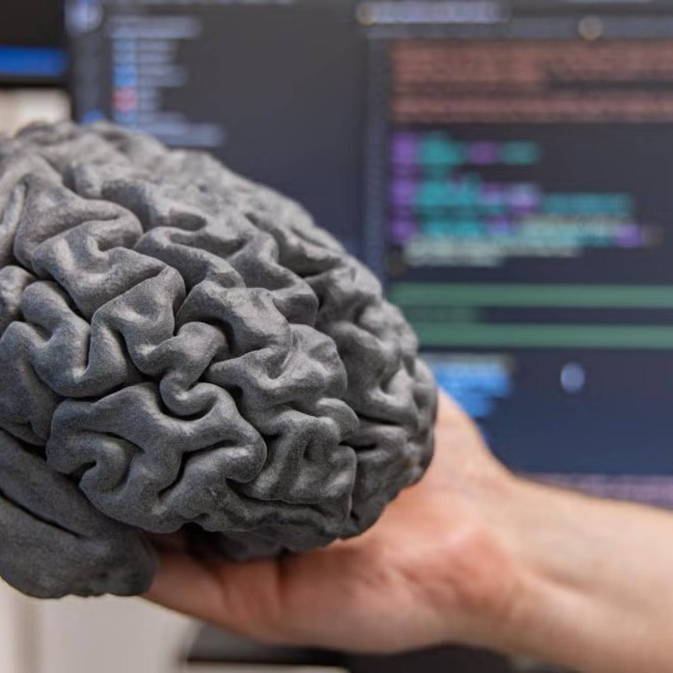 A hand holds a gray model of a human brain
