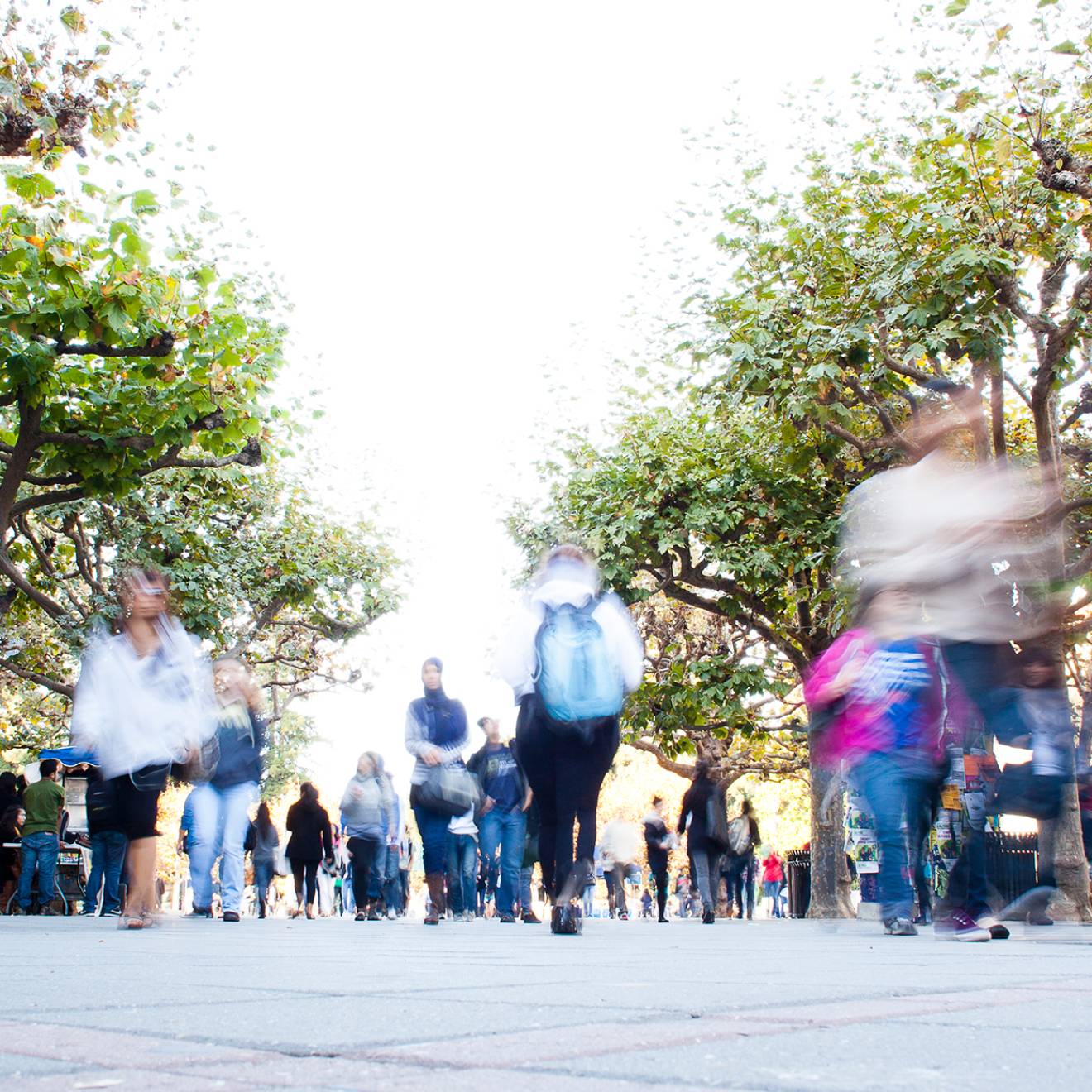 students on the UC Berkeley campus