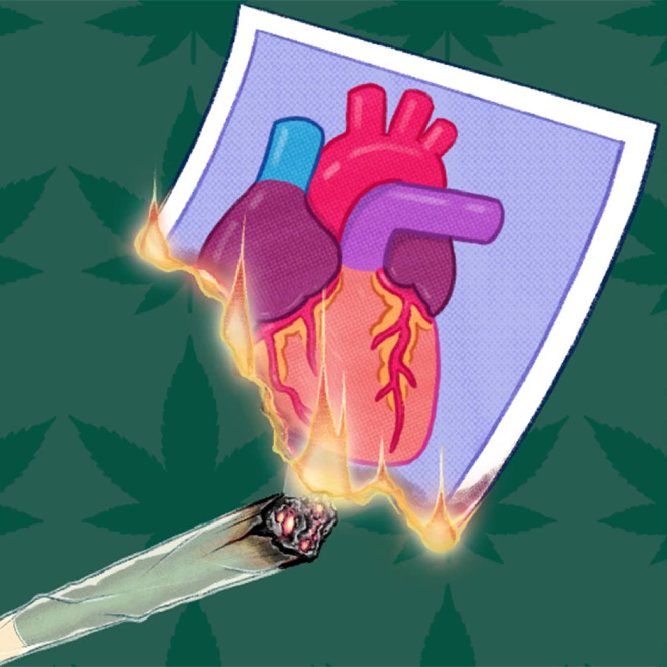 An illustration of a lit marijuana cigarette lighting a picture of a human heart on fire, against a backdrop of marijuana leaves