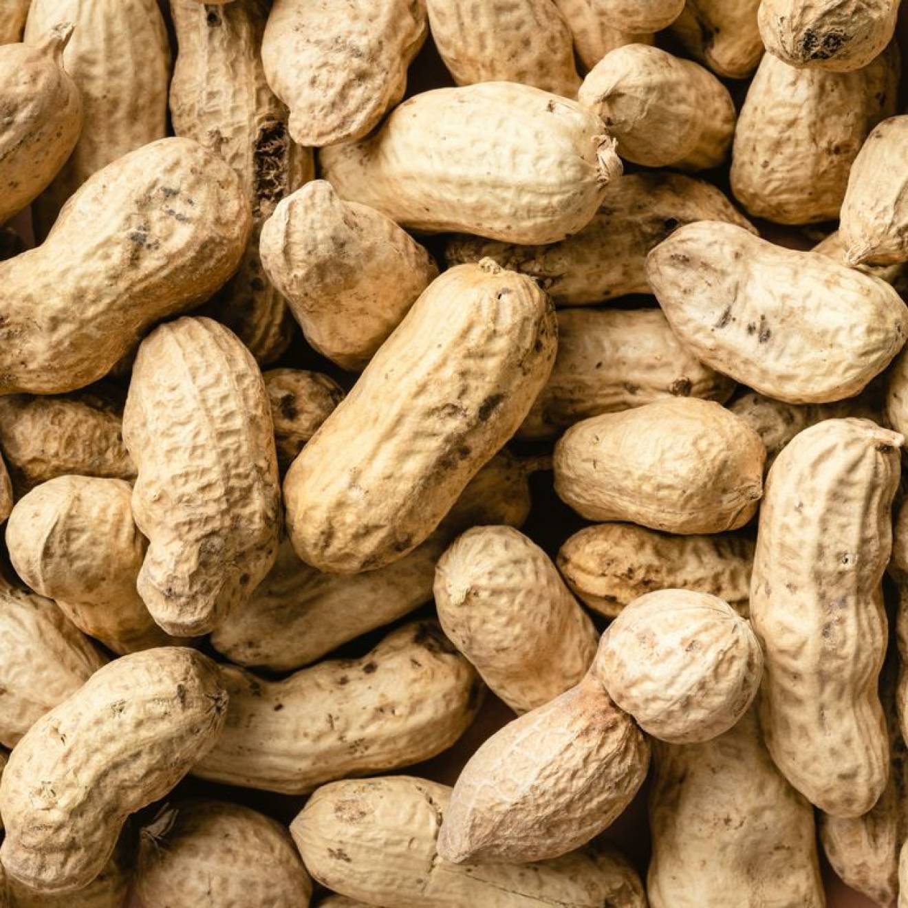 Peanuts in their shells