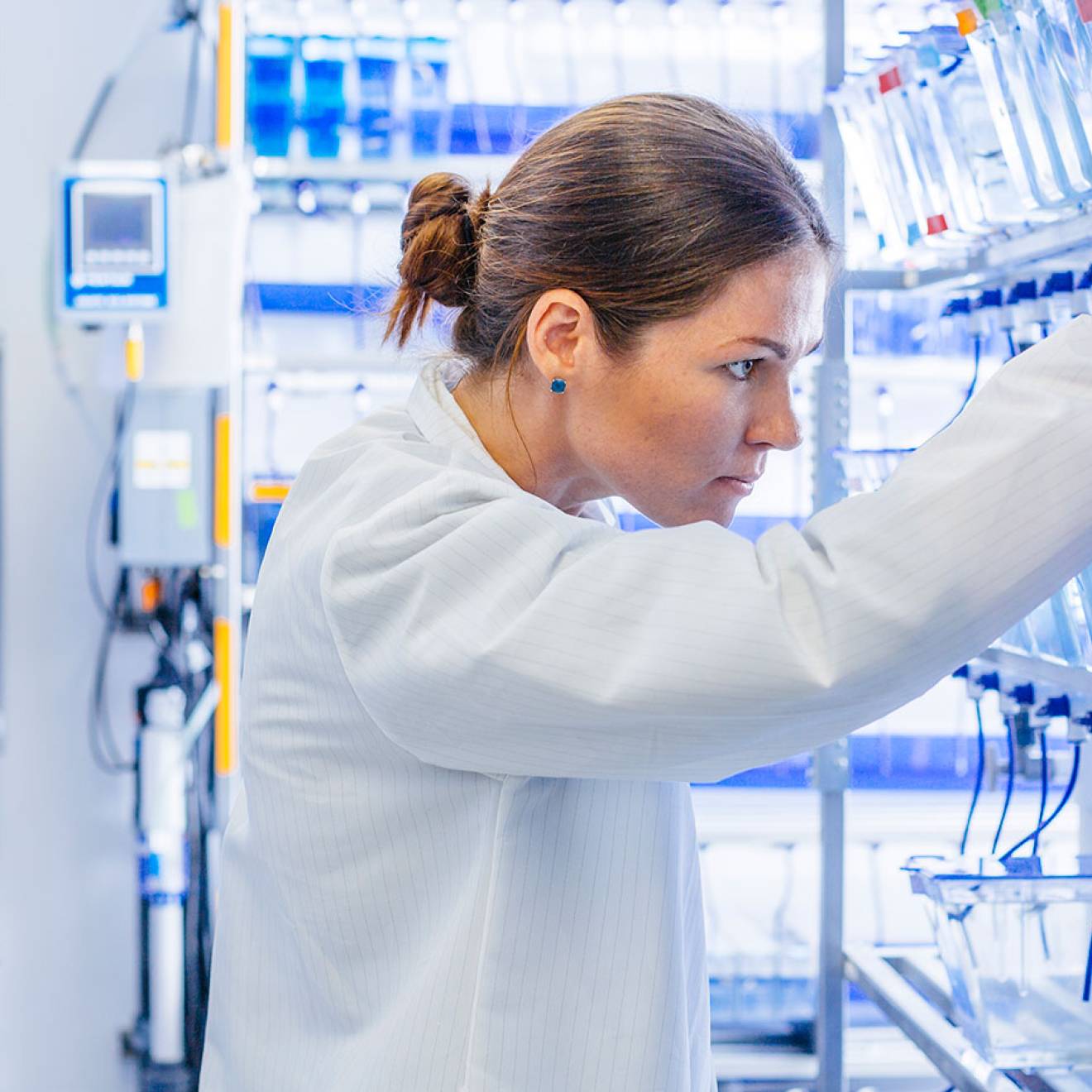 A scientist in a white lab coat looks at a rack of clear plastic tubs filled with water on a shelf in a laboratory.