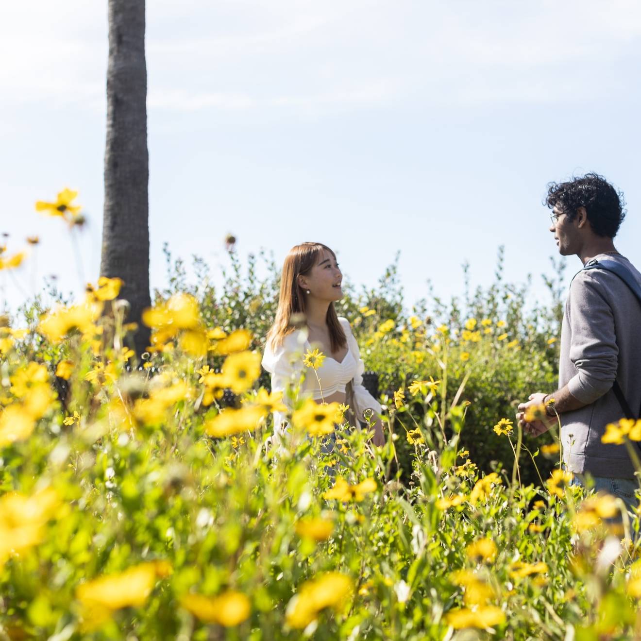 Two students talking in a field of yellow flowers