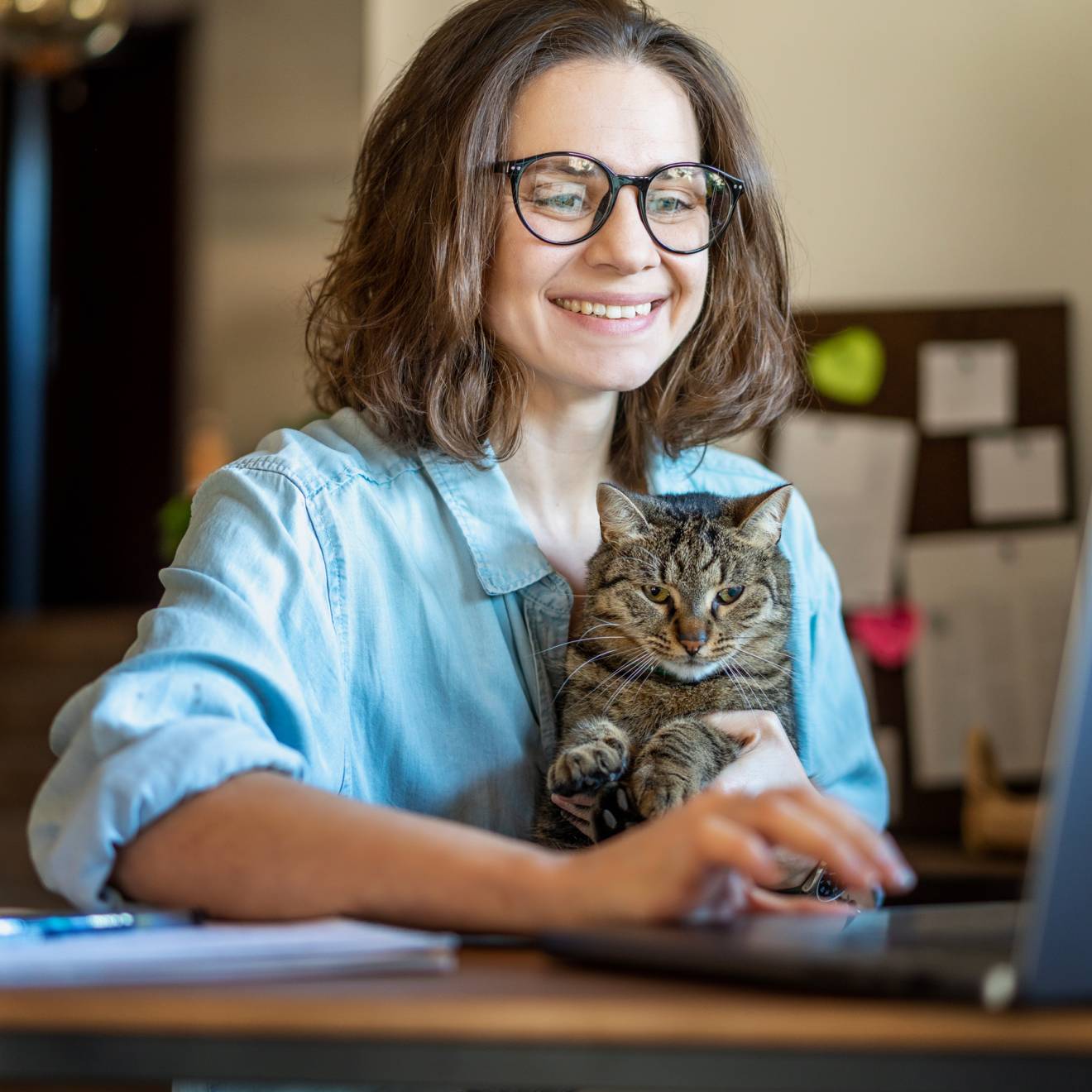 Happy young business woman with glasses working using laptop from home, sitting with pet cat in her arms