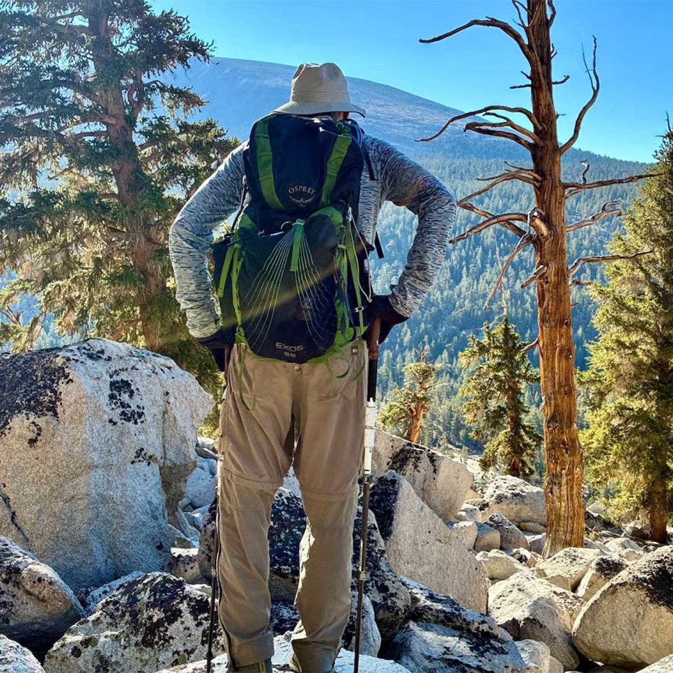 A man stands under bare trees looking out at a mountain landscape, photographed from behind