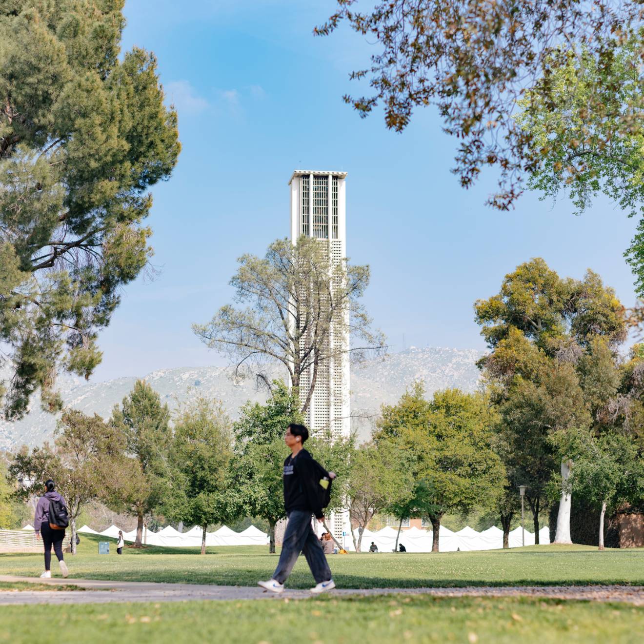 UC Riverside campus on a sunny day, tower in the background
